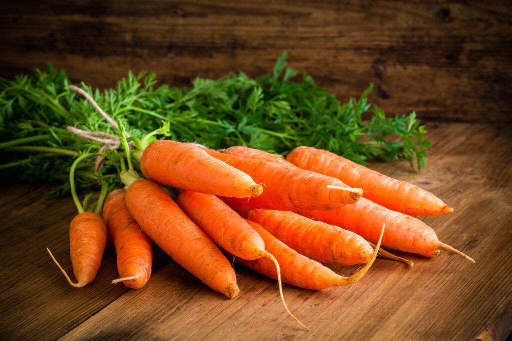 As 11 Principais Frutas e Legumes Para Cães 3 cenoura