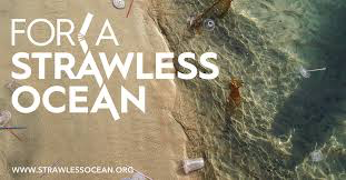 Seattle é a primeira cidade nos EUA a proibir plásticos descartáveis, como canudos e utensílios 3 https://www.strawlessocean.org/seattle/