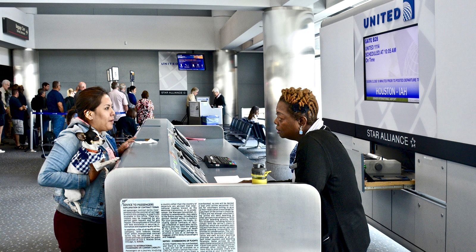 American Airlines entrará em contato com passageiros com overbooking antes do horário de partida 3 1671909292 63 American Airlines entrara em contato com passageiros com overbooking antes