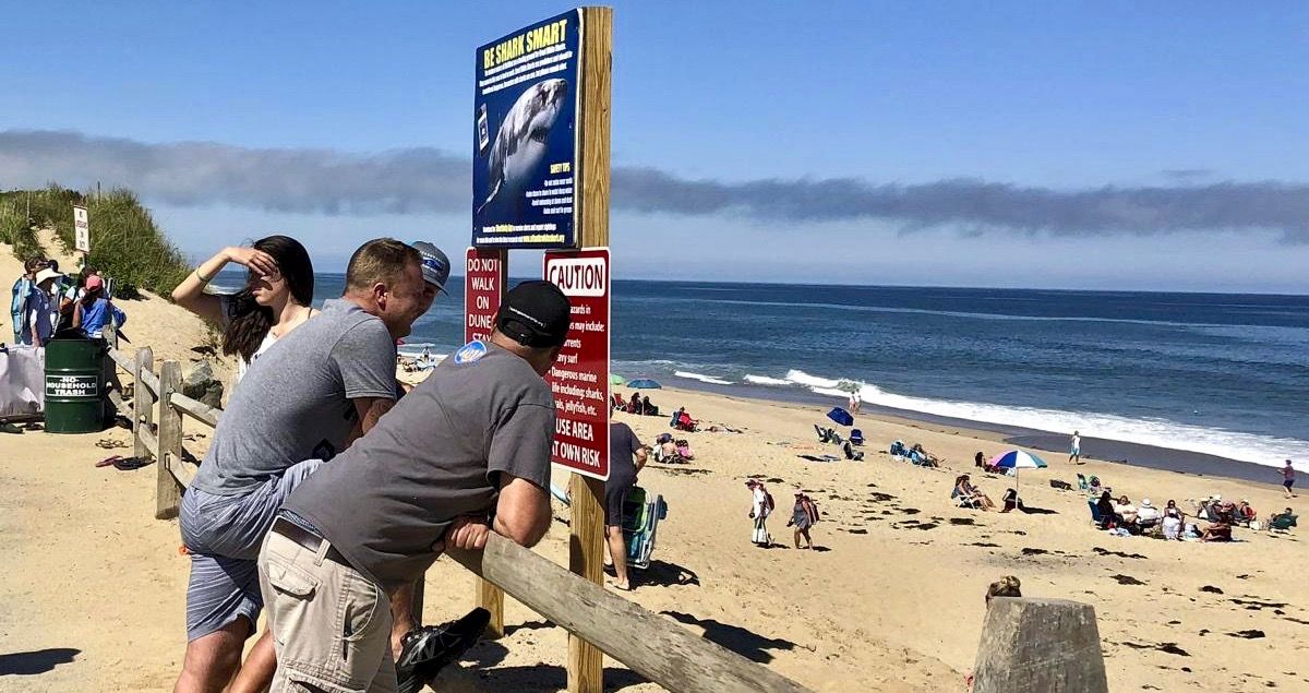 Homem é morto por tubarão em Cape Cod 2 1672525094 728 Homem e morto por tubarao em Cape Cod