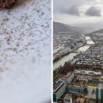 chocolate and cocoa, the town of olten, switzerland
