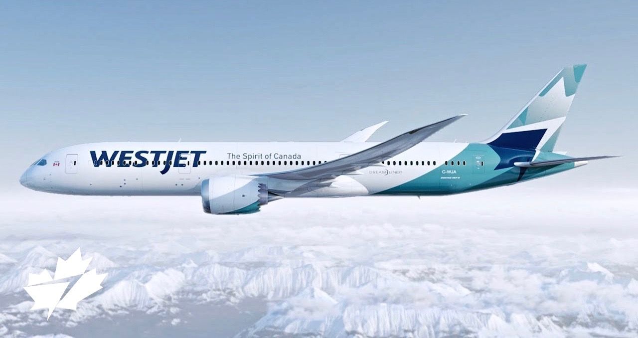Passageiro é retirado de avião por ter adormecido antes da decolagem 1 Passageiro e retirado de aviao por ter adormecido antes da
