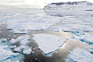 Quase todo o gelo que cobre o mar de Bering derreteu antes do esperado