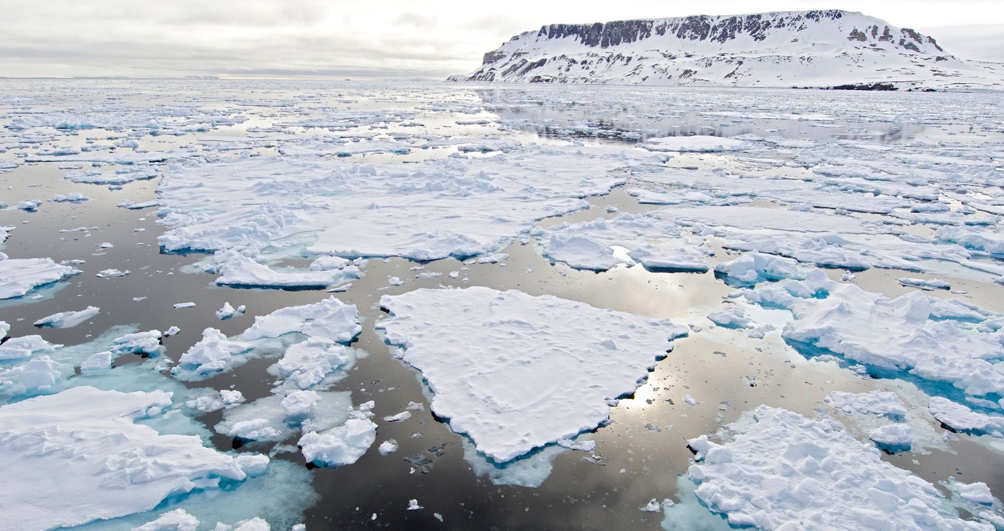 Quase todo o gelo que cobre o mar de Bering