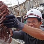 Tesouro de terríveis animais do fundo do mar descoberto perto da Indonésia