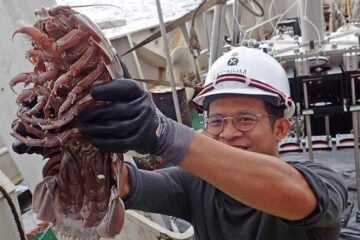 Tesouro de terríveis animais do fundo do mar descoberto perto da Indonésia