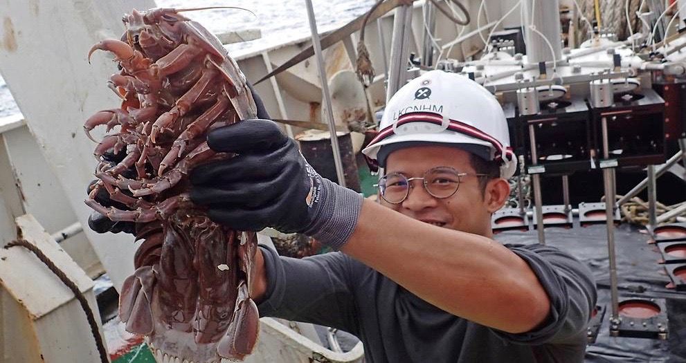 Tesouro de terríveis animais do fundo do mar descoberto perto da Indonésia 1 Tesouro de terriveis animais do fundo do mar descoberto perto