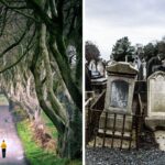 a person walks on a trail through the woods in ireland, a creepy cemetary in ireland