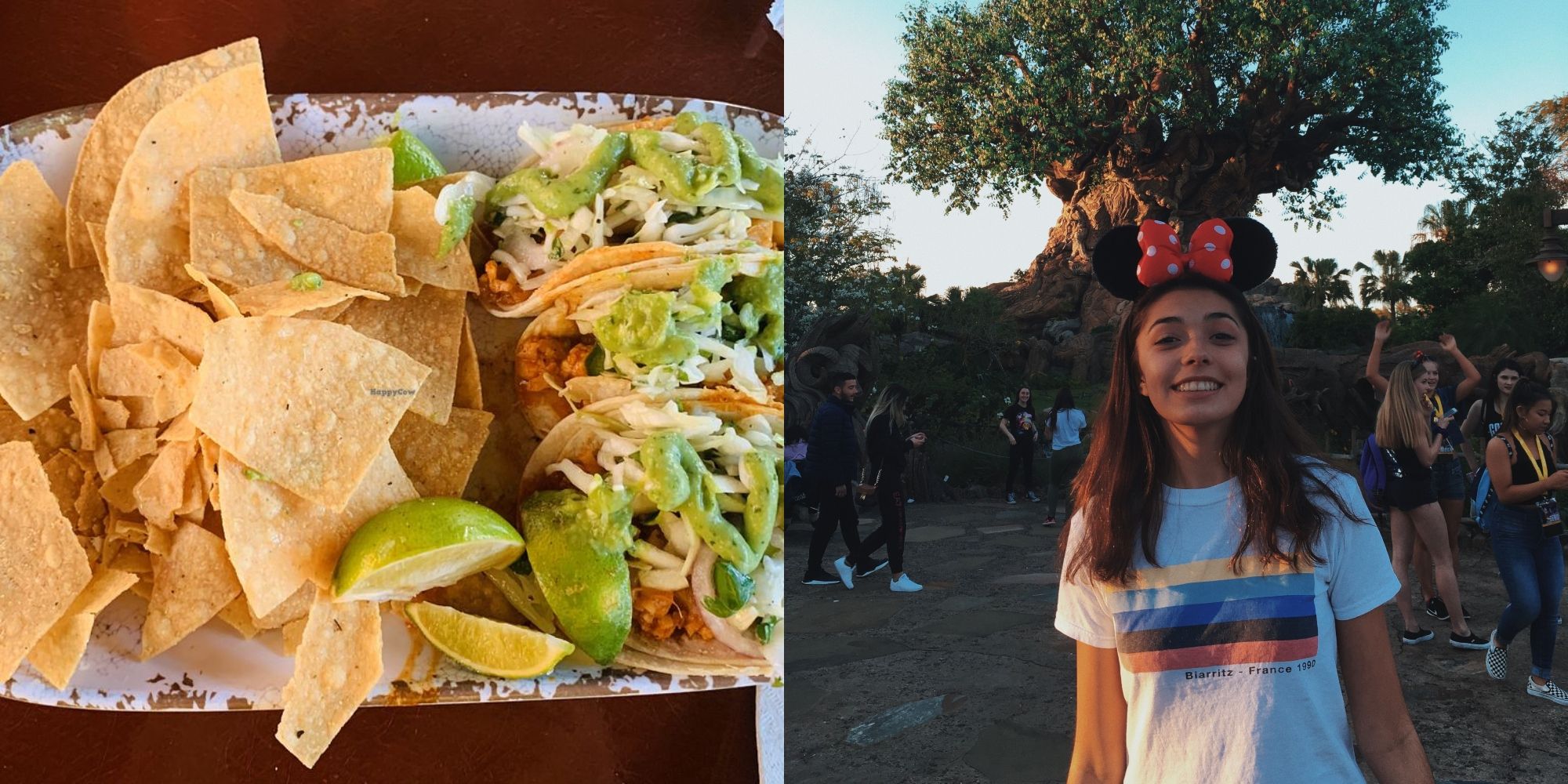 Confira a comida mais saudável da Disneylândia 4 salgadinhos de milho e tacos de couve-flor no prato e garota usando orelhas de mickey mouse sorrindo do lado de fora na disneyland