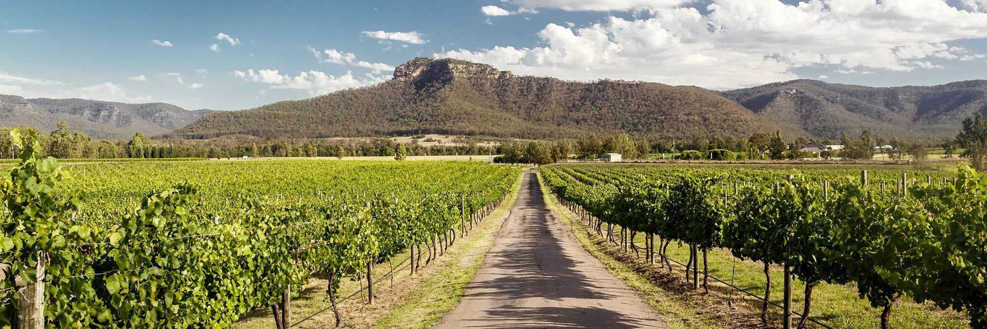 Estes lindos locais para passeios de um dia estão fora dos limites da cidade de Sydney 4 Hunter Valley na Austrália
