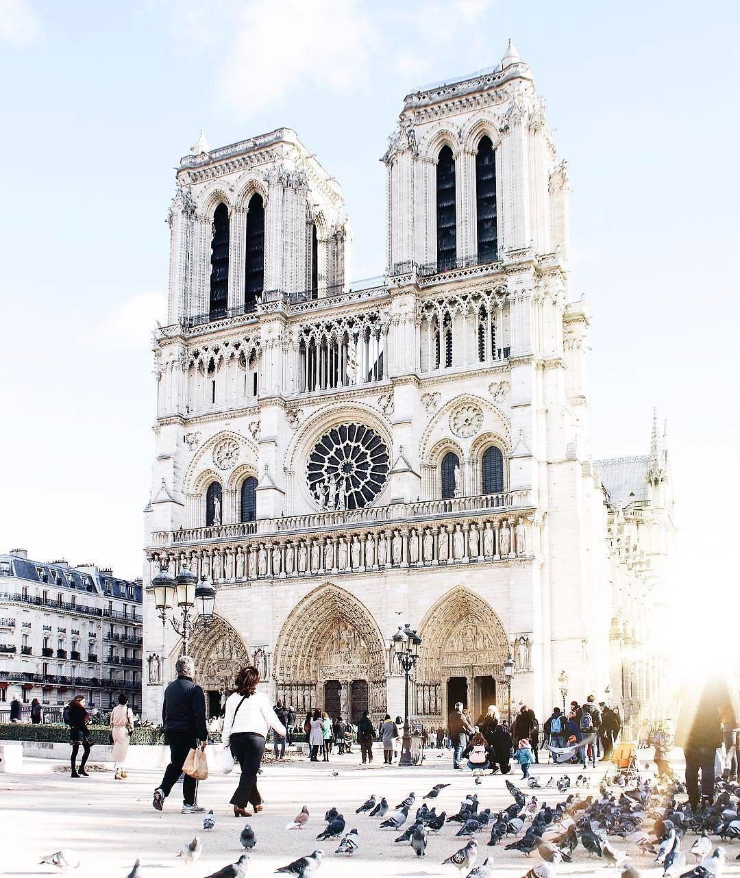 Notre-Dame está sendo totalmente restaurada, então aqui estão algumas fotos para lembrá-lo de como ela é bonita 3 catedral de notre dame ao nascer do sol