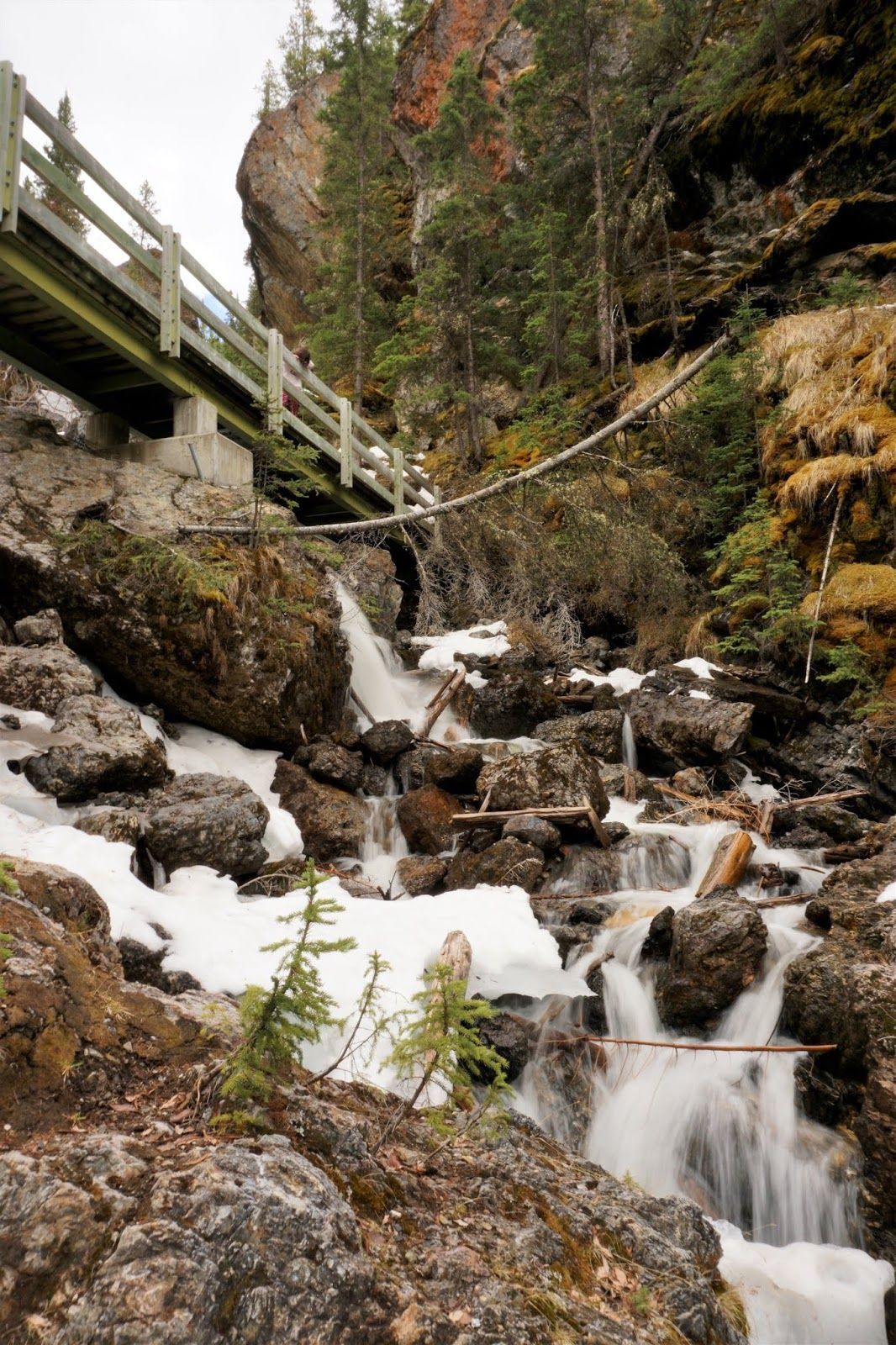 Este é o tempo que você precisa para caminhar pelas trilhas mais fáceis do Parque Nacional de Banff 2 sundance canyon no parque nacional de banff
