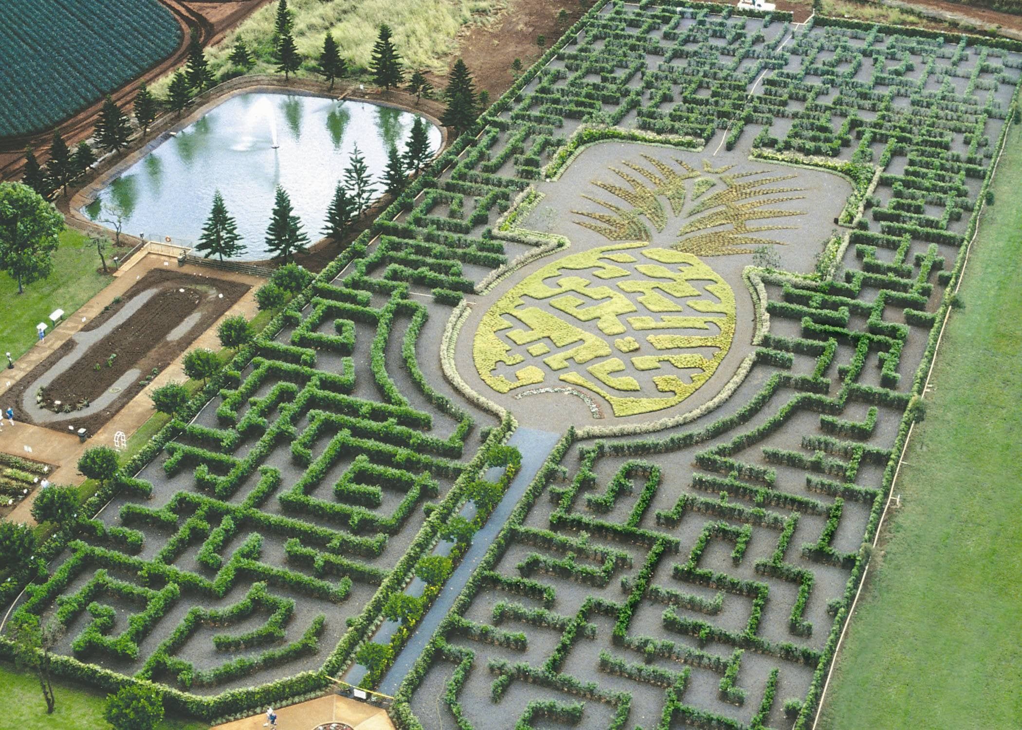 o labirinto de plantação de dole no Havaí