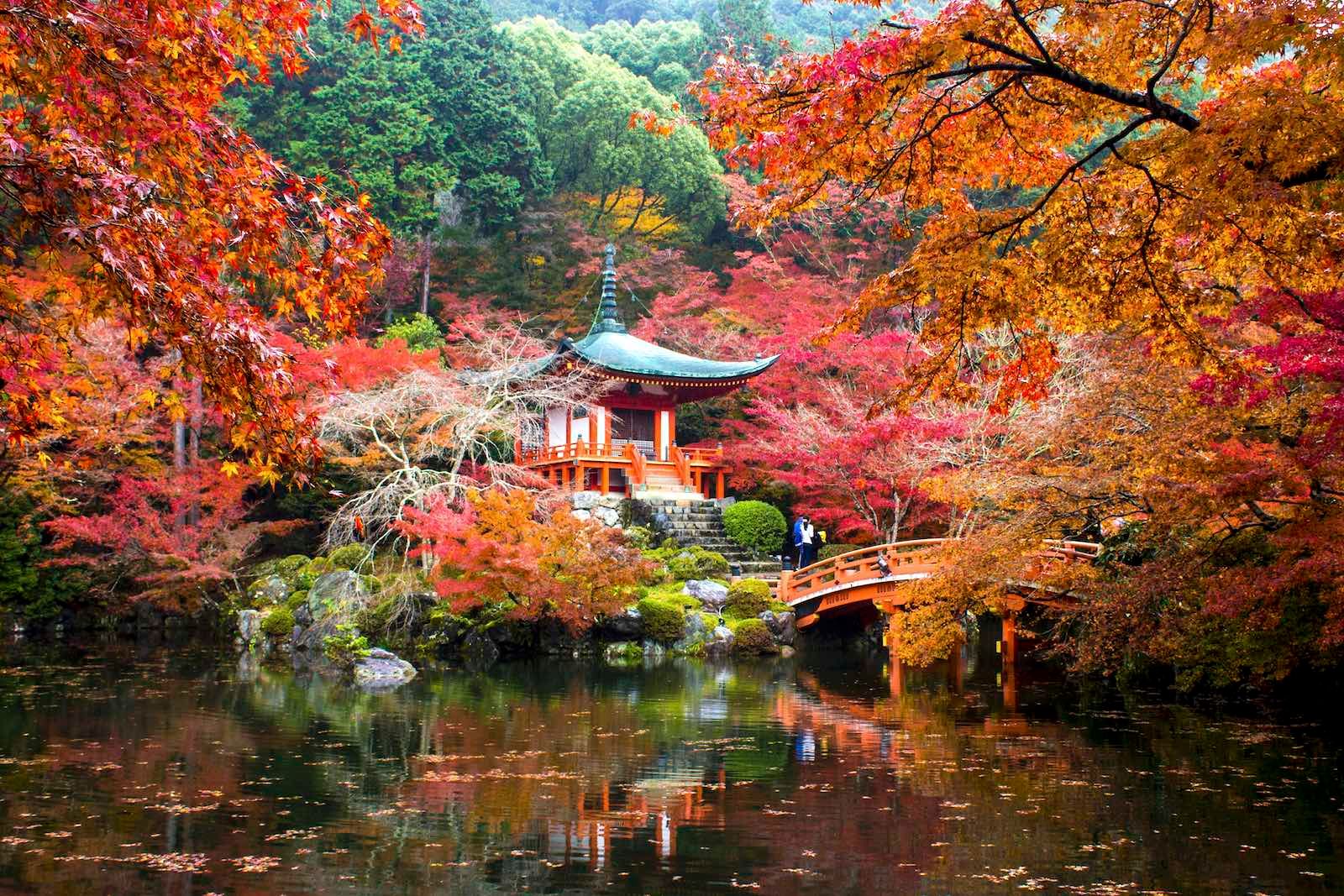 Estas fotos de tirar o fôlego de Kyoto são como algo saído de um sonho 2 um templo em quioto