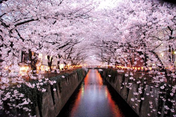 Tóquio, Japão: planejando o fim de semana perfeito 4 1674687905 538 Toquio Japao planejando o fim de semana perfeito