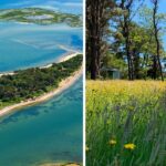 sipson island is finally open to visitors
