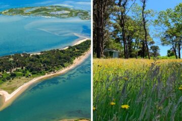 sipson island is finally open to visitors
