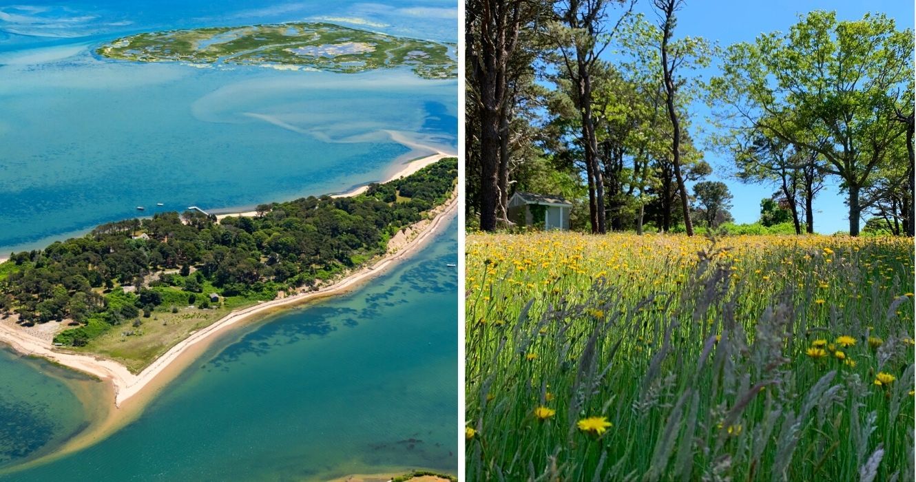 A Ilha Sipson, em Massachusetts, está finalmente aberta ao público após 300 anos 1 a ilha sipson está finalmente aberta aos visitantes