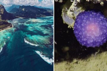 an underwater waterfall illusion, a mysterious purple orb in the ocean