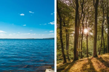 a beautiful view of a lake and sun through the trees