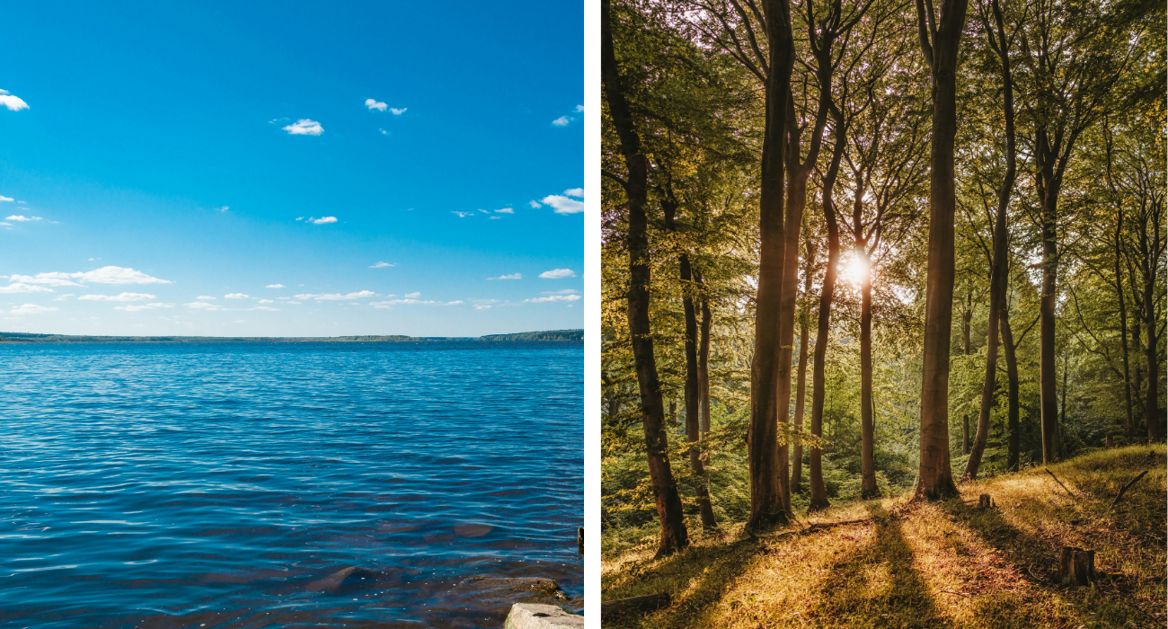 A trilha do canal Cayuga-Seneca em Waterloo é imperdível para os amantes da natureza: aqui está o que você verá 1 uma bela vista de um lago e sol por entre as árvores