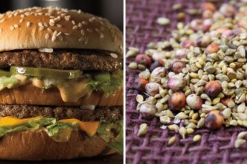 a double big mac, a bunch of mixed seeds
