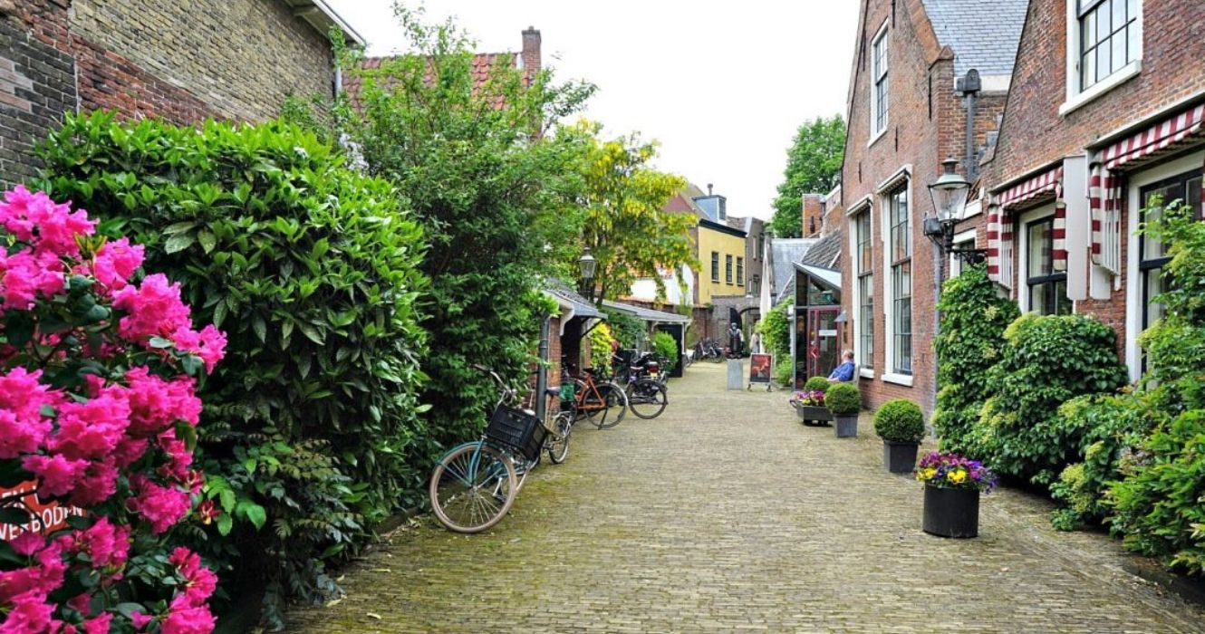 Além de Amsterdã: destinos holandeses que estão fora dos roteiros mais conhecidos 1 uma rua em haarlem, amsterdã