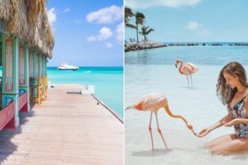 beach bar n the ocean in Aruba/ girl kneeling in sand, feeding a flamingo