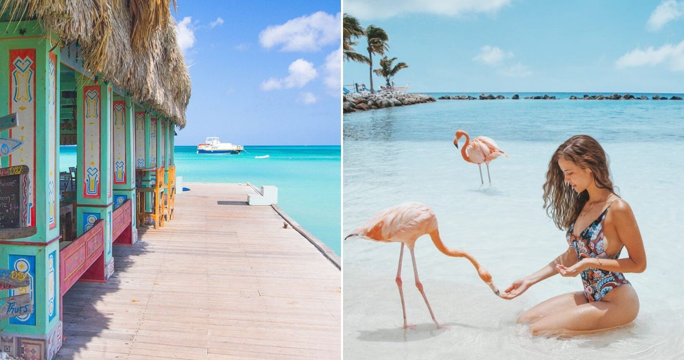 bar de praia no oceano em Aruba/ menina ajoelhada na areia, alimentando um flamingo