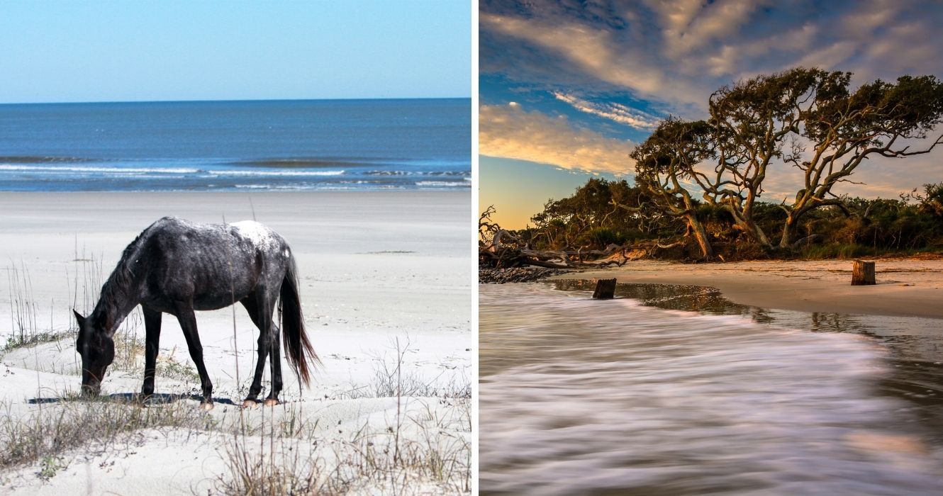 As melhores praias da ilha de barreira da Geórgia são o que o verão tem tudo a ver 1 cavalo selvagem na ilha de cumberland, nascer do sol na ilha de jekyll