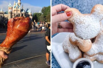 a turkey leg and mickey mouse beignets from disney world