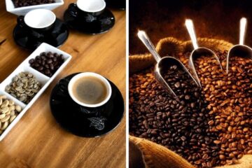 coffee beans from all over the world
