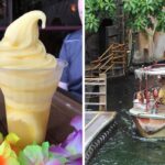 dole whip from disneyland, the jungle ride at disneyland