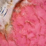lake hillier from above