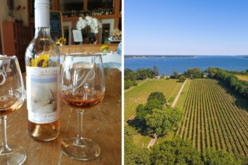 a wine tasting at Paumanok vineyards, an aerial view of peconic bay vineyard on the north fork of long island