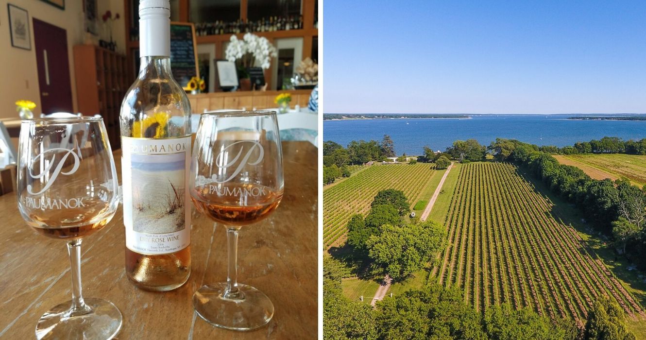 Esqueça Napa e experimente a região vinícola de Long Island 1 uma degustação de vinhos nos vinhedos de Paumanok, uma vista aérea do vinhedo de peconic bay na bifurcação norte de long island