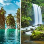 Estas florestas tropicais são melhor exploradas a pé para ver toda a sua beleza