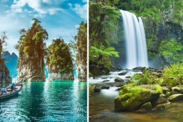 Estas florestas tropicais são melhor exploradas a pé para ver toda a sua beleza