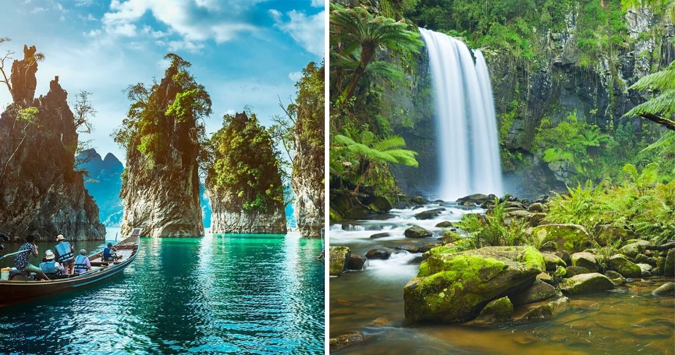 Estas florestas tropicais são melhor exploradas a pé para ver toda a sua beleza 1 Estas florestas tropicais sao melhor exploradas a pe para ver