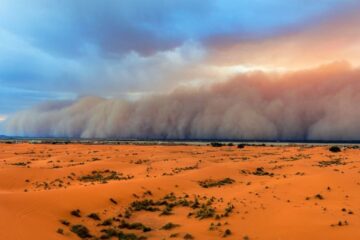 a dust storm moves across the sahara