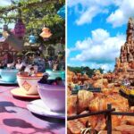 the tea cups at magic kingdom, disney's big thunder mountain