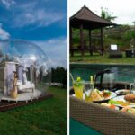the bubble hotel bali