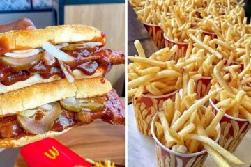 a mcdonalds mcrib sandwich, fries from mcdonalds