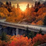the blue ridge parkway in virginia