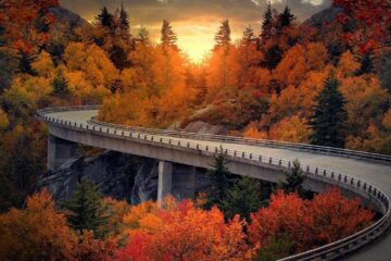 the blue ridge parkway in virginia