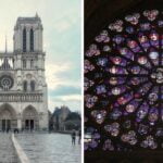 notre-dame cathedral and the rose window