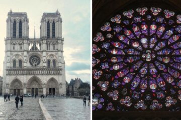 notre-dame cathedral and the rose window