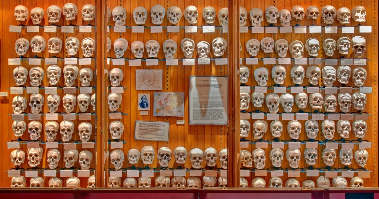 O Museu Mütter da Filadélfia abriga o cérebro de Einstein e outras curiosidades 1 O Museu Mutter da Filadelfia abriga o cerebro de Einstein