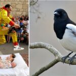 O mundo está cheio de tradições estranhas, mas essas são as mais incomuns
