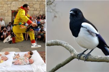 O mundo está cheio de tradições estranhas, mas essas são as mais incomuns